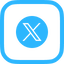 x Icon